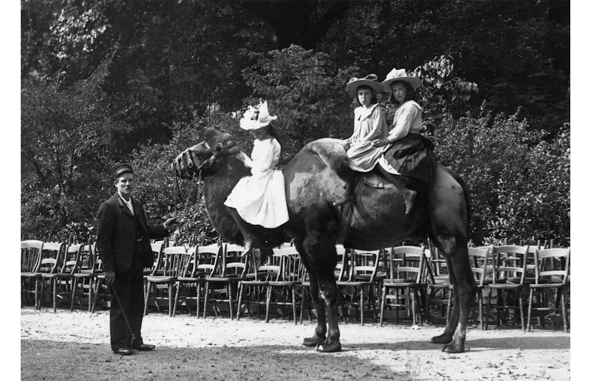 Rare photos show Victorian London like you've never seen