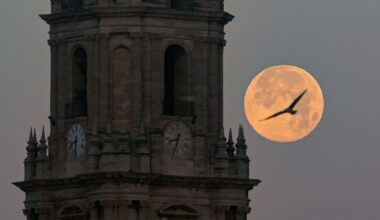 Exactly When To See A ‘Cold Supermoon’ Rise
