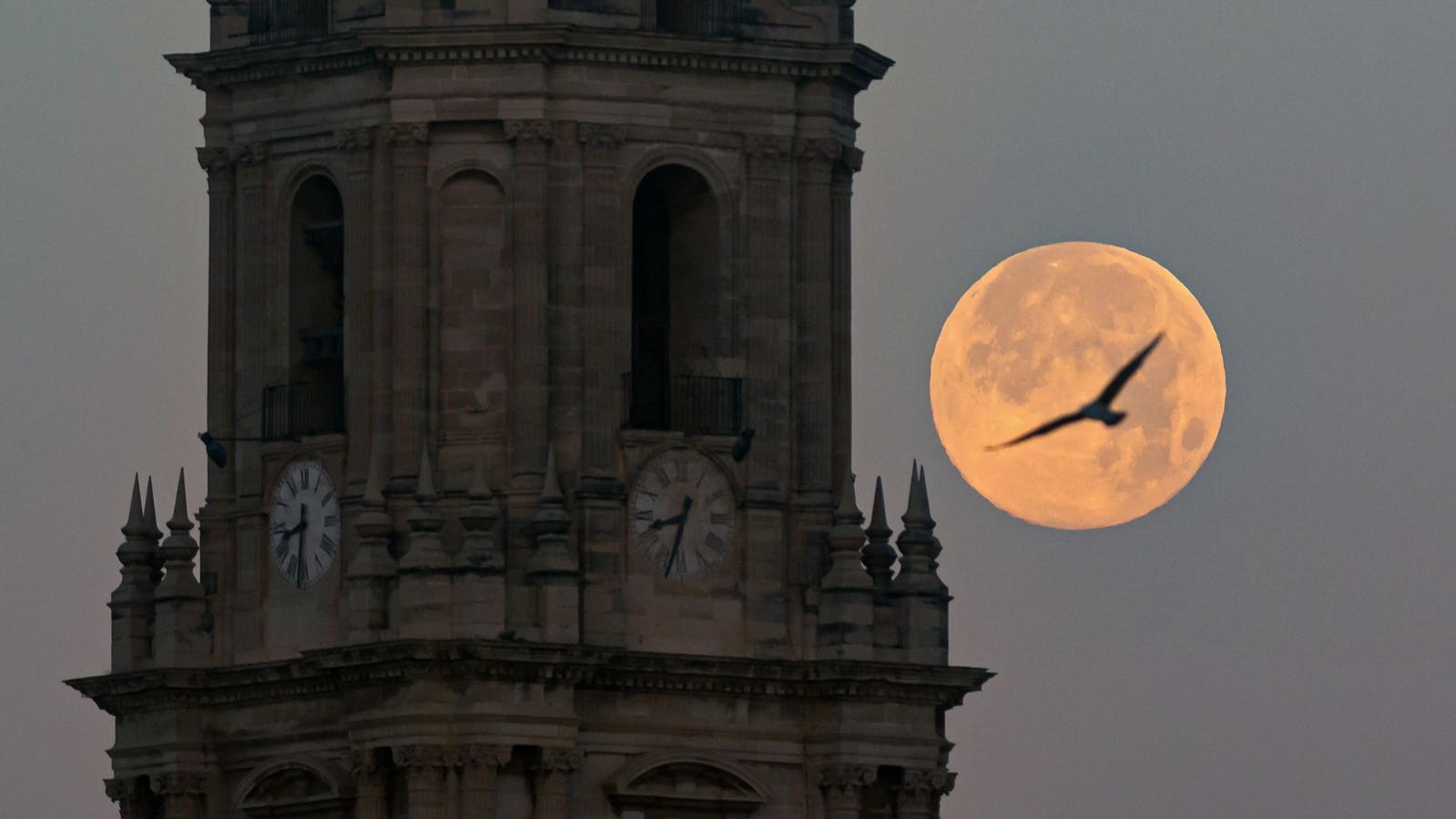 Exactly When To See A ‘Cold Supermoon’ Rise