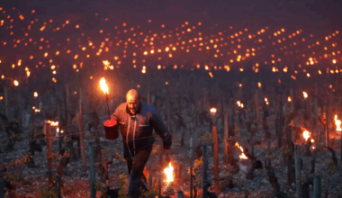 The secret of summer is being extinguished by the climate - what is France doing?