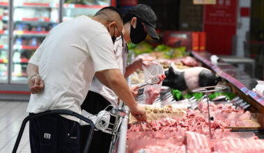 China stops pork imports after swine fever outbreak • Table.Briefings