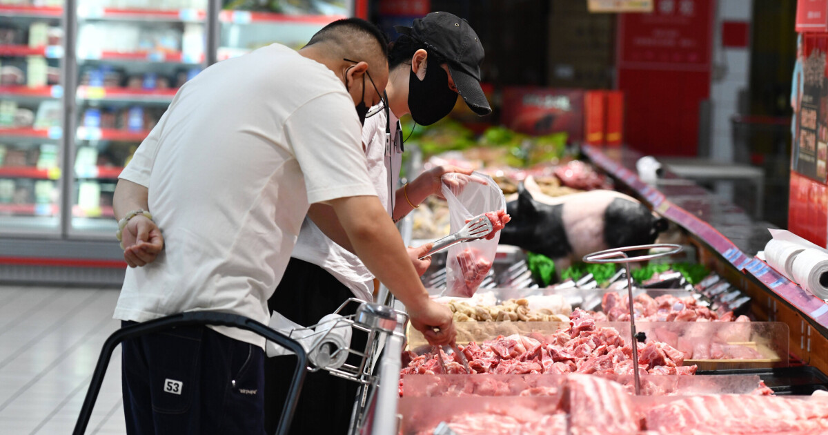 China stops pork imports after swine fever outbreak • Table.Briefings