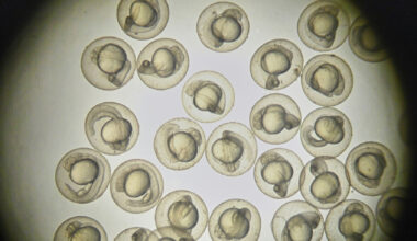 shutterstock_428415328-1920x1300