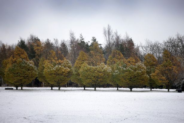 Snowy scenes in Alexandra Park in Oldham