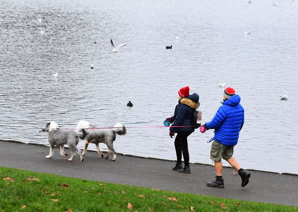 Dog owners have been warned there are a list of rules they must adhere to