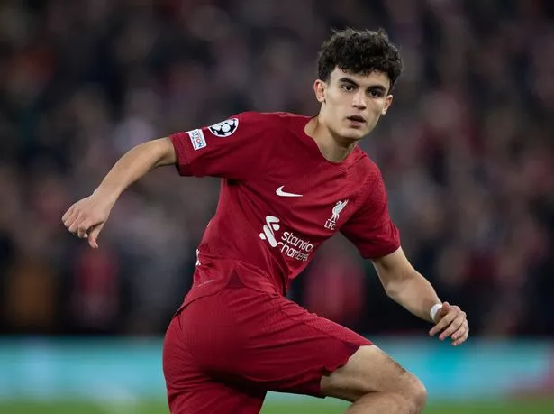 Stefan Bajcetic in action