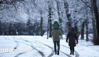 A couple walk down a snowy road. The man is carrying a child on his shoulders. There are big trees with some snow on them lining the road.