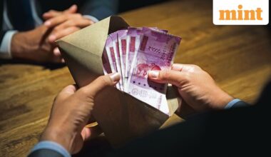 Cozy Farms CEO's viral advice on building a company sparks debate