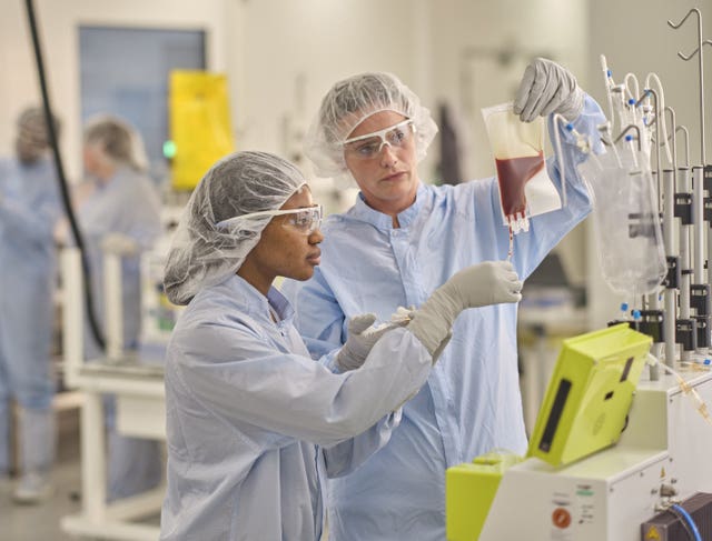 Operators inspecting the patient leukapheresis bag 