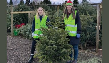 St Peter's Hospice Christmas tree collection returns