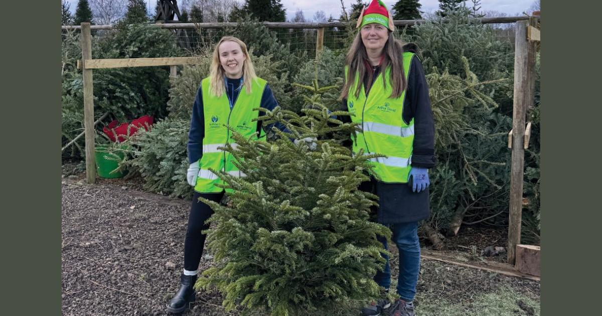 St Peter's Hospice Christmas tree collection returns