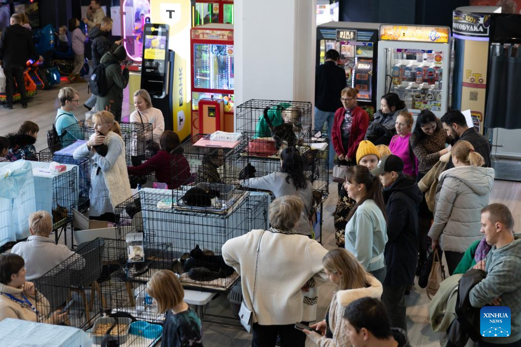 People attend charity event for adopting stray cats, dogs in Russia-Xinhua