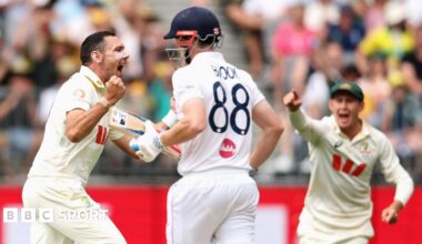 Beehive showing the wicket deliveries of Harry Brook, Ollie Pope and Joe Root