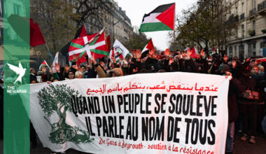 European cities rally in mass solidarity protests for Palestine