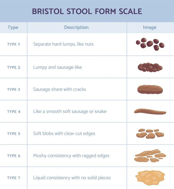 Summary of Bristol Stool Form Scale: Types 1-7 range from hard lumps to soft blobs, outlining stool consistency for health assessment