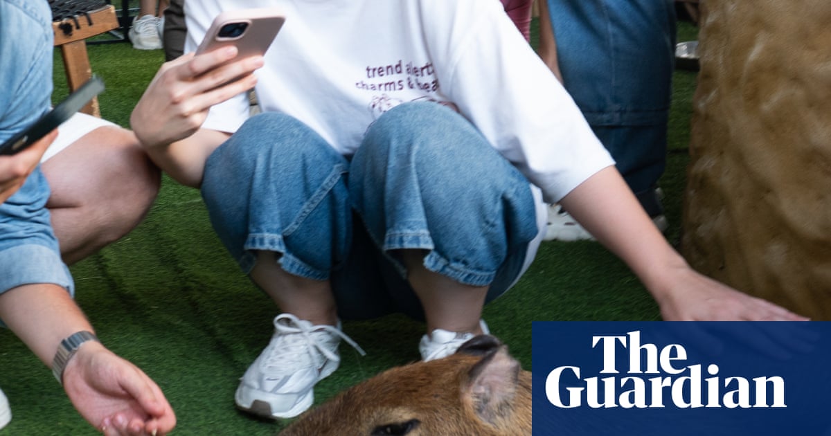 Cuddling capybaras and ogling otters: the problem with animal cafes in Asia | Illegal wildlife trade