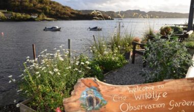 ‘Incredible achievements’ of Gairloch Sitooterie land Keep Scotland Beautiful accolades