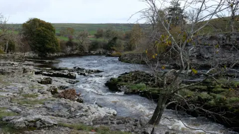 Yorkshire Dales National Park The Wharfe near Grassington - a wide river with a rocky shoreline and a bare tree in the foreground. In the background, grassy hills can be seen.