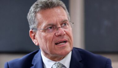 EU, China created special channel to ensure rare earth supplies, commissioner says