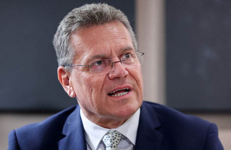 EU, China created special channel to ensure rare earth supplies, commissioner says