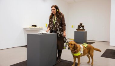A vocabulary of touch: exhibition of sculpture by blind and partially blind artists opens in Leeds - The Art Newspaper