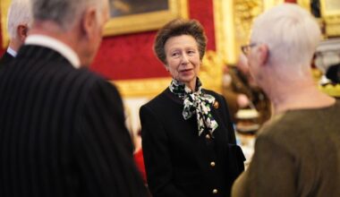 Charity patron Princess Anne hosts veterans for festive tea party