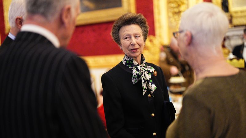 Charity patron Princess Anne hosts veterans for festive tea party