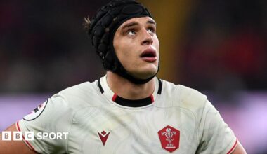 Wales lock Dafydd Jenkins looks up during the win against Japan