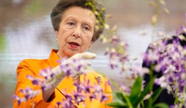 Princess Anne, the ‘antidote to Andrew’, keeps calm in Singapore