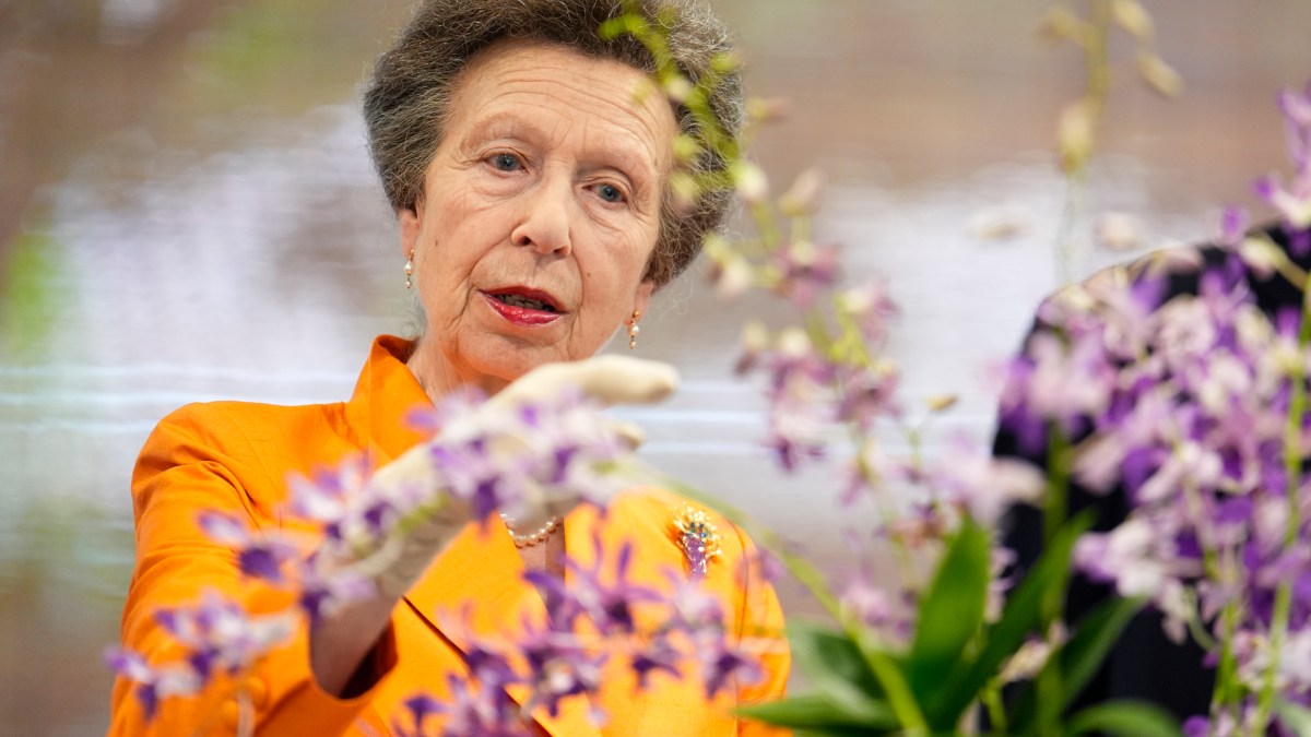Princess Anne, the ‘antidote to Andrew’, keeps calm in Singapore