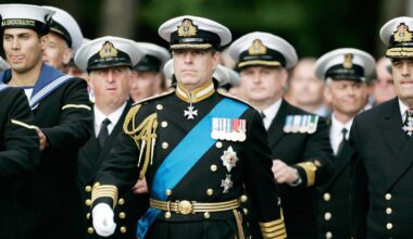 Defence chiefs told to ‘get on with it’ and strip Andrew’s last title