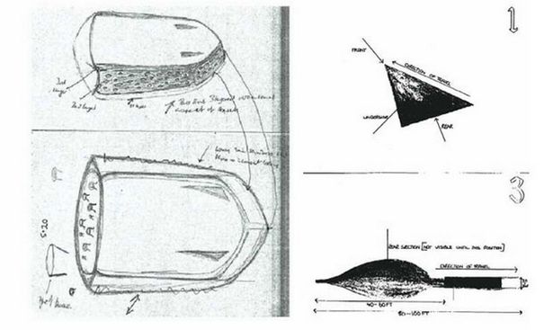 Drawings made by the Boeing 737 pilots following their close encounter