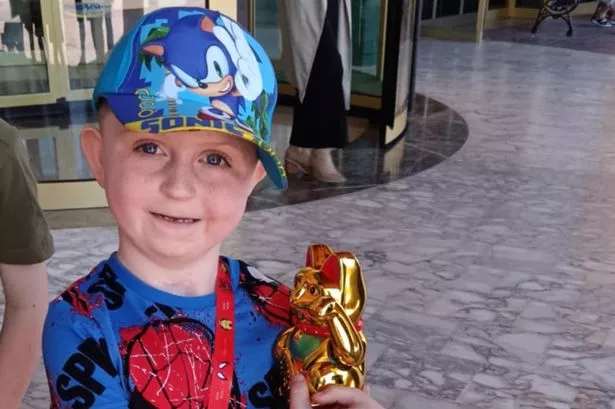 A little boy in a spiderman outfit