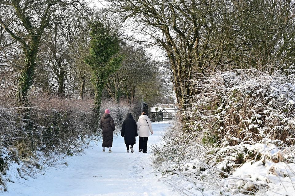 Snowy scene on Cavehill in Belfast. Picture: Arthur Allison/Pacemaker Press