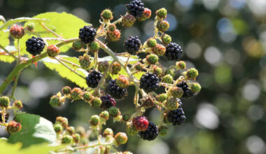 Yahoo lifestyle home