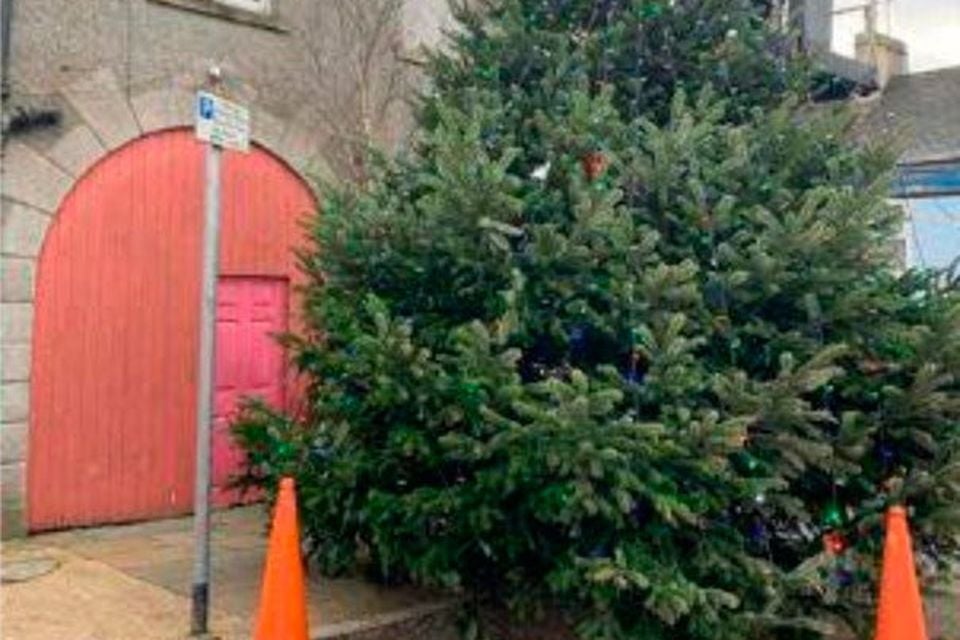 Rathfriland's Christmas tree resembles an overgrown bush