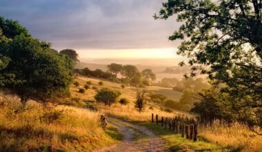 Winter walks and pub stops within 60 minutes of London