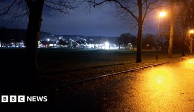 A view of a park at night shows a yellow glow from a street lamp while the rest of the park is in complete darkness with some house lights in the distance