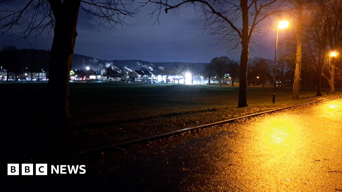 A view of a park at night shows a yellow glow from a street lamp while the rest of the park is in complete darkness with some house lights in the distance