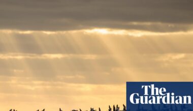 ‘A win for nature and people’: Elizabeth line soil used to create Essex bird haven | Birds