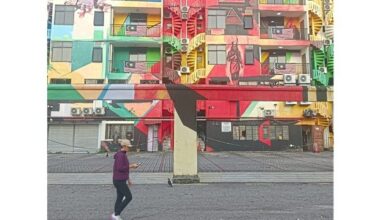 Daily dose of ‘everyday escape’