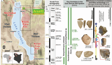 Early Oldowan technology thrived during Pliocene environmental change in the Turkana Basin, Kenya