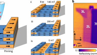 Lateral exchange bias for Néel-vector control in atomically thin antiferromagnets