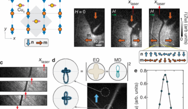 High-speed antiferromagnetic domain walls driven by coherent spin waves