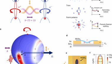 Fermi polarons under strain-induced pseudomagnetic fields
