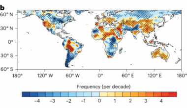 Global warming intensifies extreme day-to-day temperature changes in mid–low latitudes