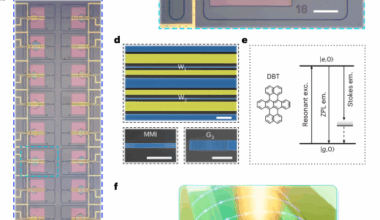 On-chip quantum interference of indistinguishable single photons from integrated independent molecules