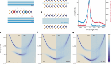 Room-temperature spin-layer locking of exciton–polariton nonlinearities in a WS2 microcavity