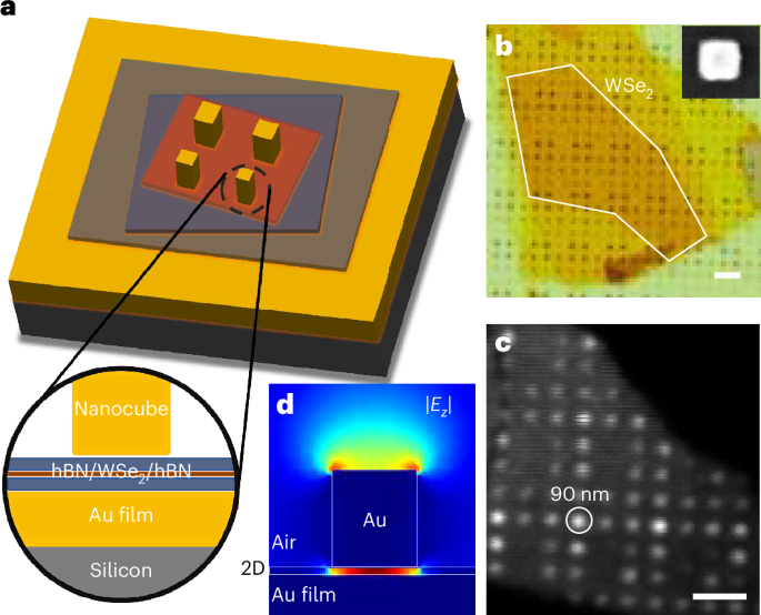 On-site enhancement and control of spin-forbidden dark excitons in a plasmonic heterostructure