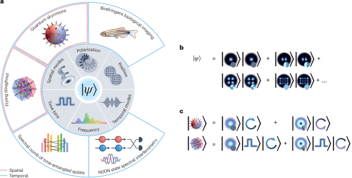 Progress in quantum structured light